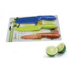 3PCS Colorful Plastic Handle Kitchen Knife Set (SE-3544)